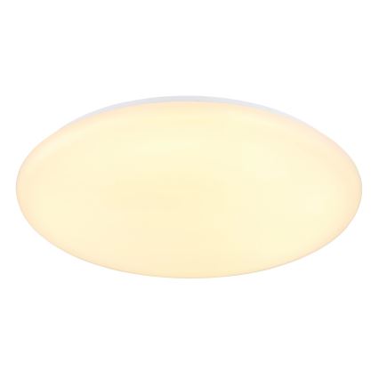 Globo - LED Laevalgusti LED/24W/230V d. 49,5 cm valge