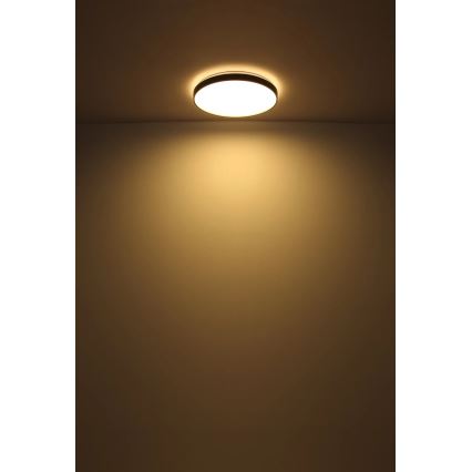 Globo - LED Laevalgusti LED/24W/230V d. 48 cm antratsiit