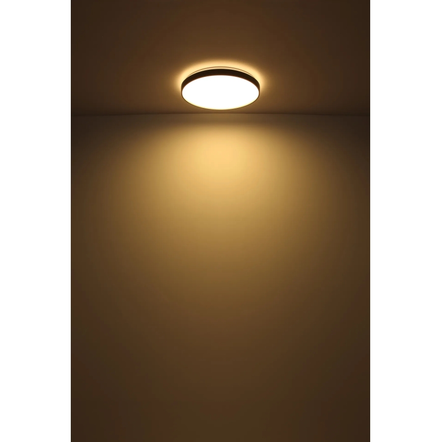 Globo - LED Laevalgusti LED/24W/230V d. 48 cm antratsiit