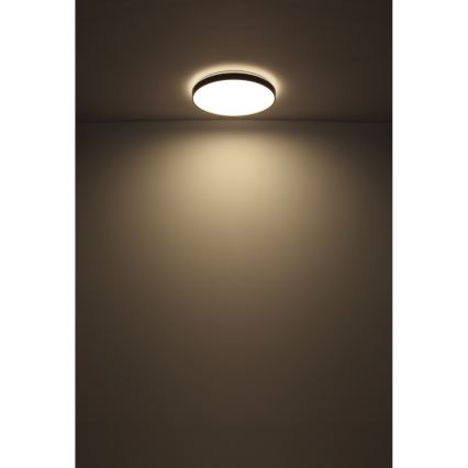Globo - LED Laevalgusti LED/24W/230V
