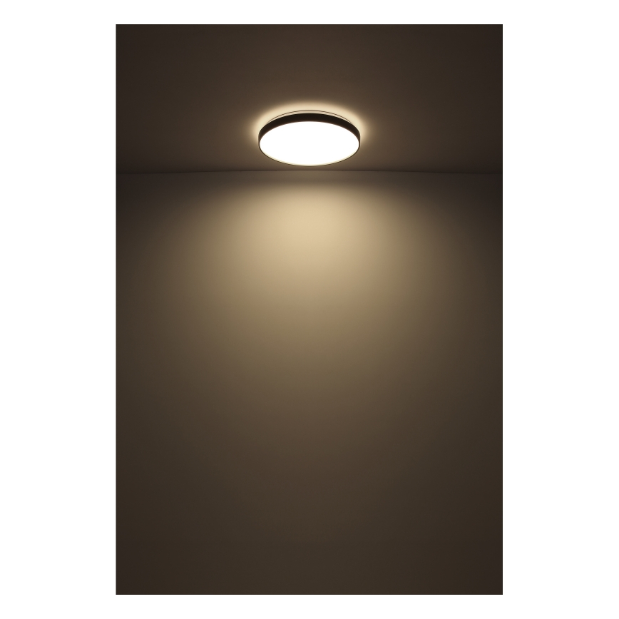 Globo - LED Laevalgusti LED/24W/230V