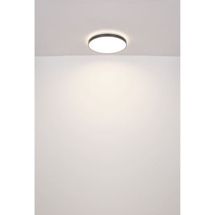 Globo - LED Laevalgusti LED/24W/230V
