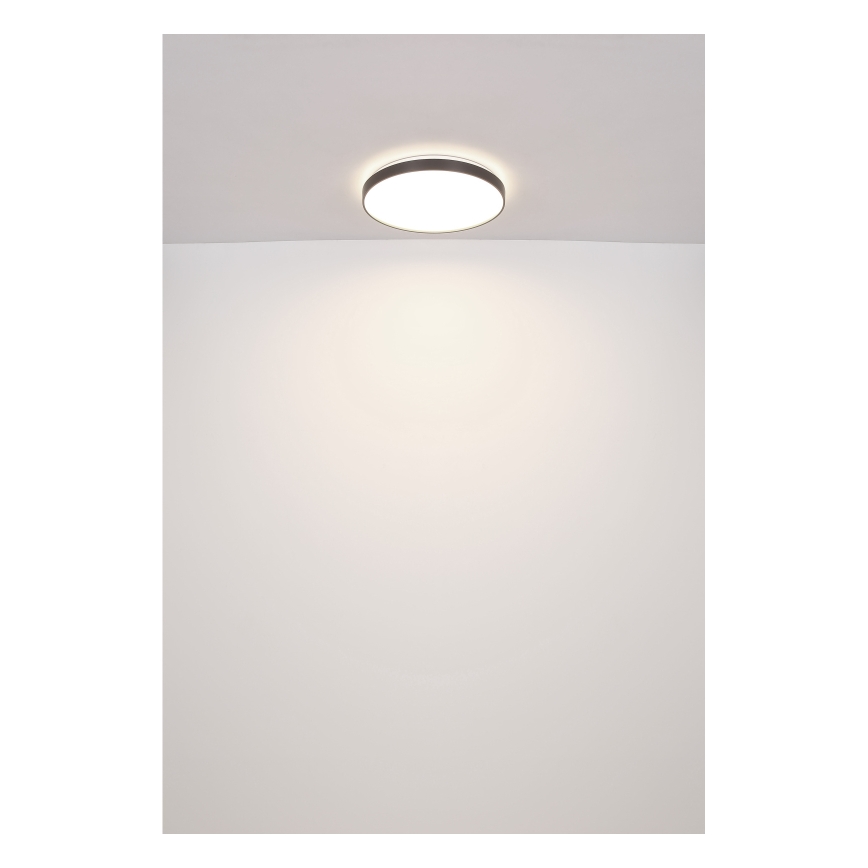 Globo - LED Laevalgusti LED/24W/230V