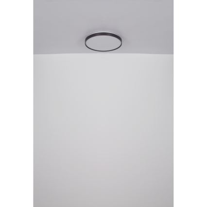 Globo - LED Laevalgusti LED/24W/230V