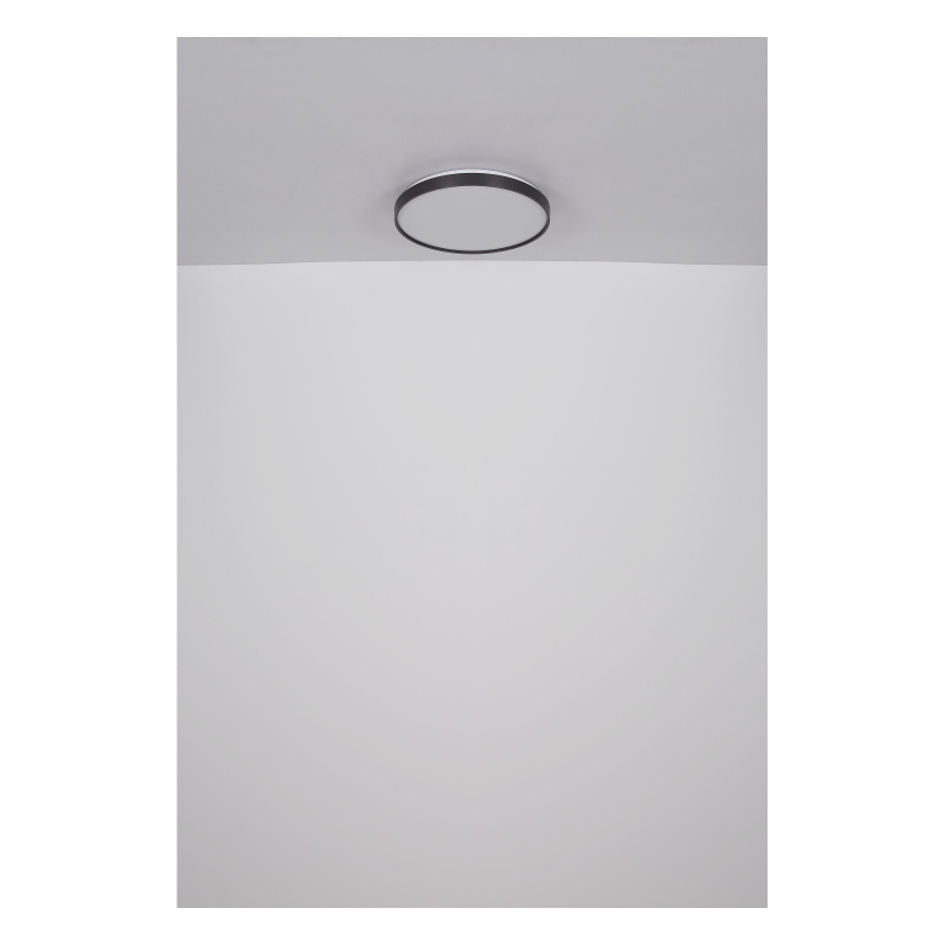 Globo - LED Laevalgusti LED/24W/230V