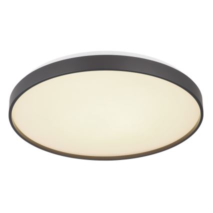 Globo - LED Laevalgusti LED/24W/230V