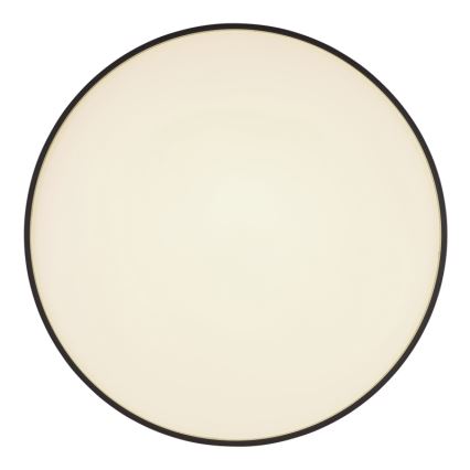 Globo - LED Laevalgusti LED/24W/230V