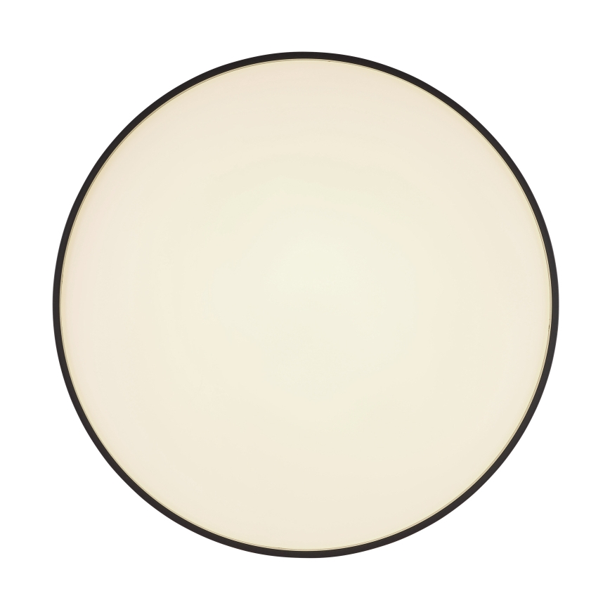 Globo - LED Laevalgusti LED/24W/230V
