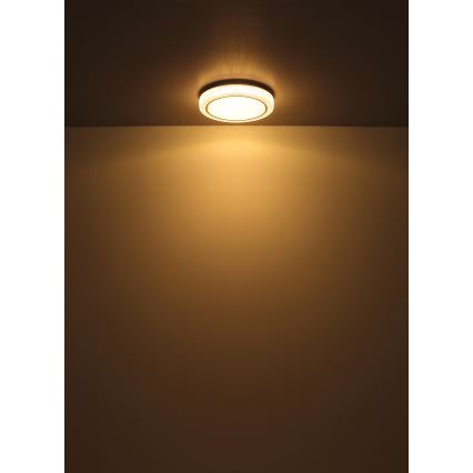 Globo - LED Laevalgusti LED/24W/230V d. 40 cm 3000K valge