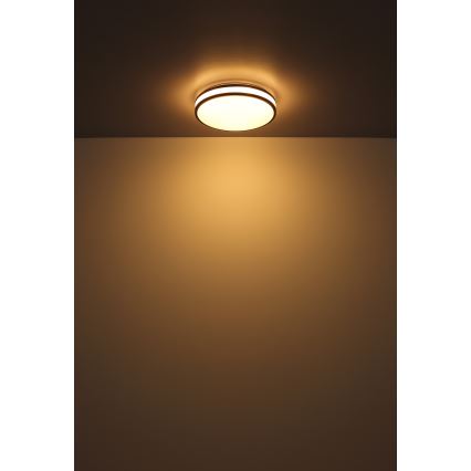 Globo - LED RGB Hämardatav laevalgusti LED/18W/230V 2700-6000K + kaugjuhtimispult