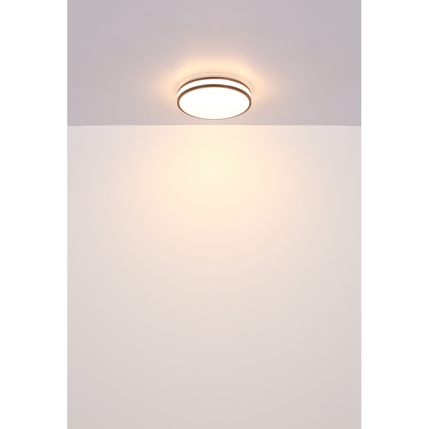Globo - LED RGB Hämardatav laevalgusti LED/18W/230V 2700-6000K + kaugjuhtimispult