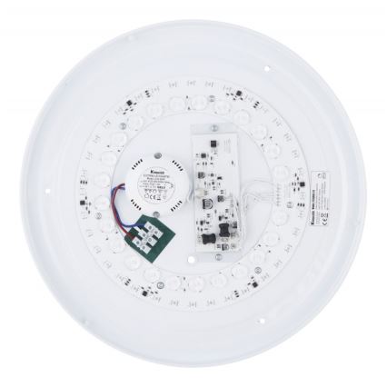 Globo - RGB LED Hämardatav laevalgusti LED/24W/230V + kaugjuhtimispult