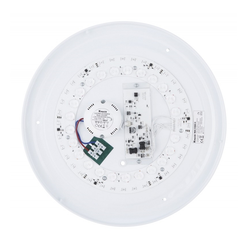 Globo - RGB LED Hämardatav laevalgusti LED/24W/230V + kaugjuhtimispult