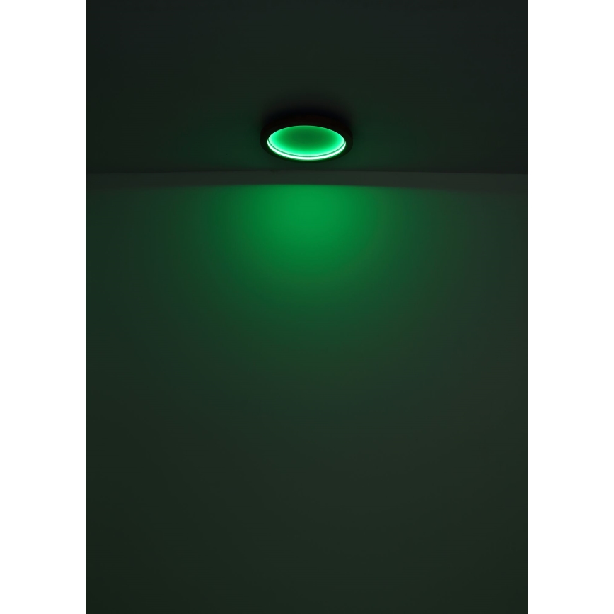 Globo - LED RGB Hämardatav laevalgusti LED/24W/230V 2700-6000K + kaugjuhtimispult