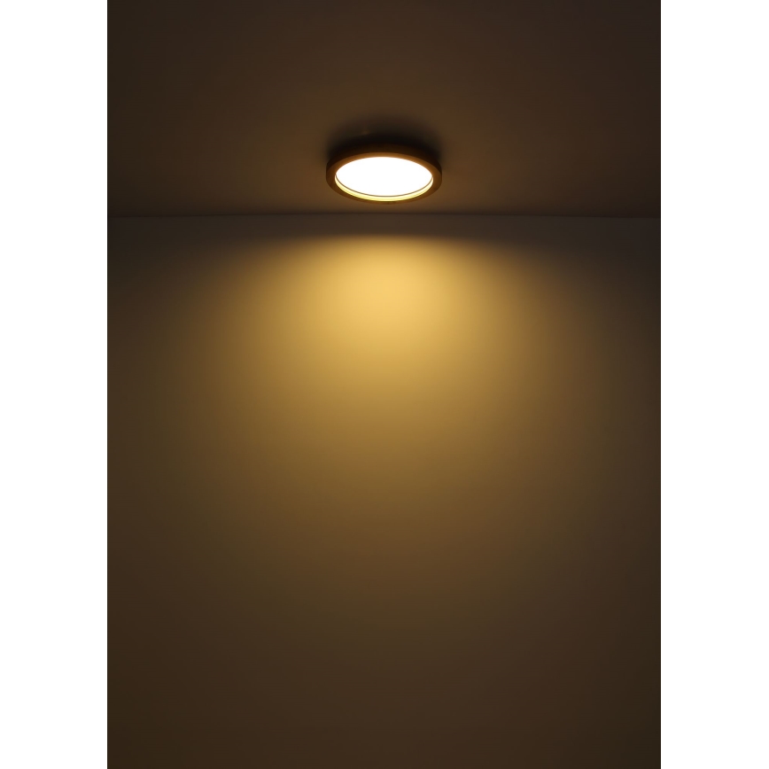 Globo - LED RGB Hämardatav laevalgusti LED/24W/230V 2700-6000K + kaugjuhtimispult