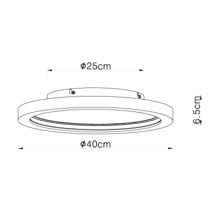 Globo - LED RGB Hämardatav laevalgusti LED/24W/230V 2700-6000K + kaugjuhtimispult