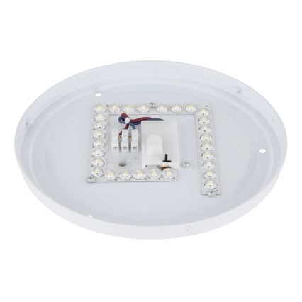 Globo - LED laelamp LED/12W/230V 3000/4200/6500K läbimõõt 26 cm