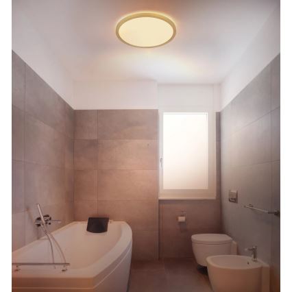 Globo - LED Hämardatav laevalgusti vannituppa LED/18W/230V 3000K IP44 d. 29,4 cm messing