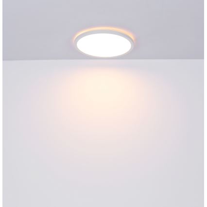 Globo - LED Hämardatav laevalgusti vannituppa LED/18W/230V d. 29,4 cm IP44 valge