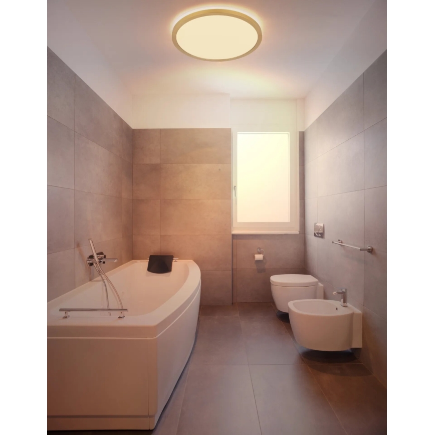 Globo - LED Hämardatav laevalgusti vannituppa LED/24W/230V 3000K IP44 d. 42 cm messing
