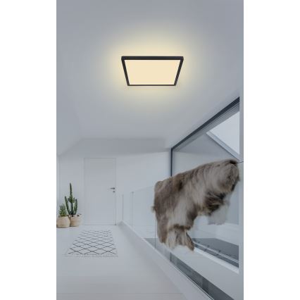 Globo - LED Hämardatav laevalgusti vannituppa LED/18W/230V 29,4x29,4 cm IP44 must