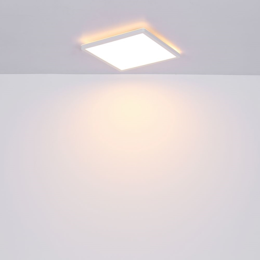 Globo - LED Hämardatav laevalgusti vannituppa LED/24W/230V 42x42 cm IP44 valge