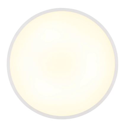 Globo - LED laelamp LED/20W/230V 4000K läbimõõt 30 cm valge
