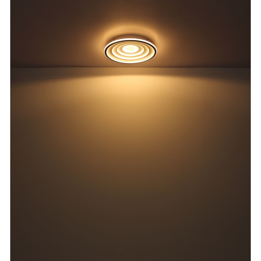 Globo - LED Laevalgusti LED/24W/230V