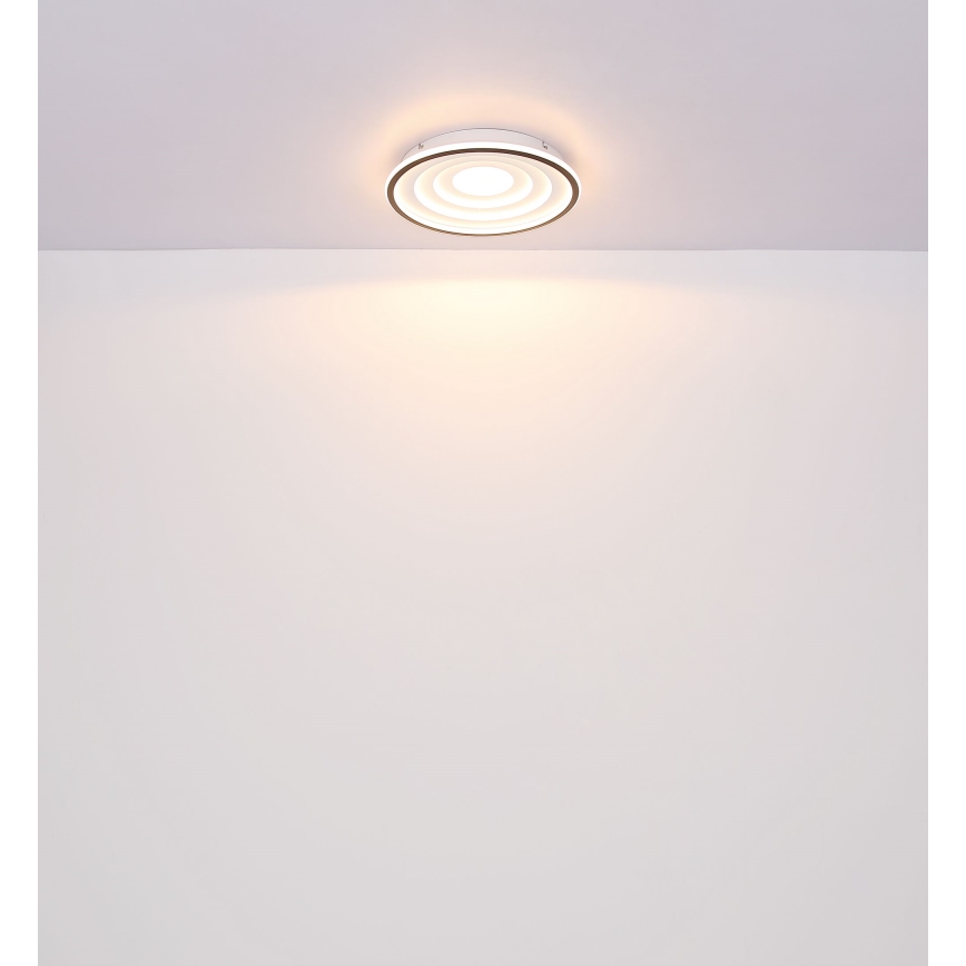 Globo - LED Laevalgusti LED/24W/230V