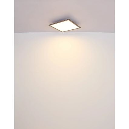 Globo - LED Laevalgusti LED/24W/230V