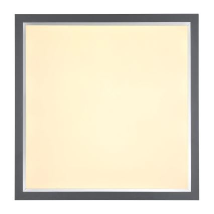Globo - LED Laevalgusti LED/24W/230V