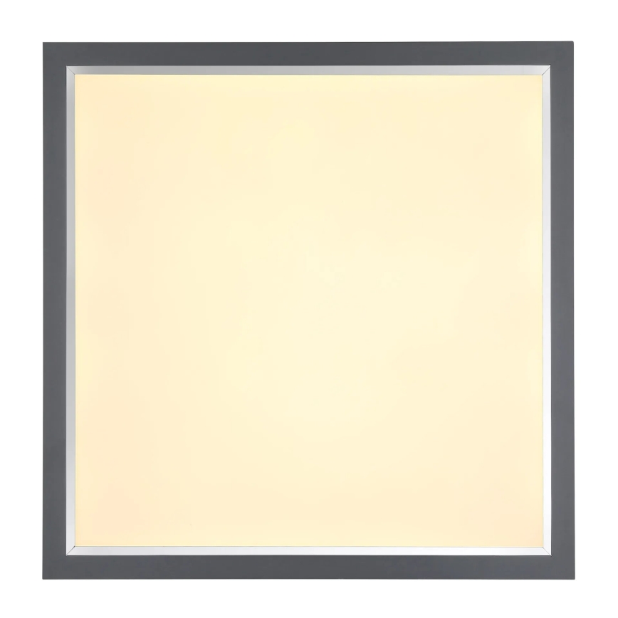 Globo - LED Laevalgusti LED/24W/230V