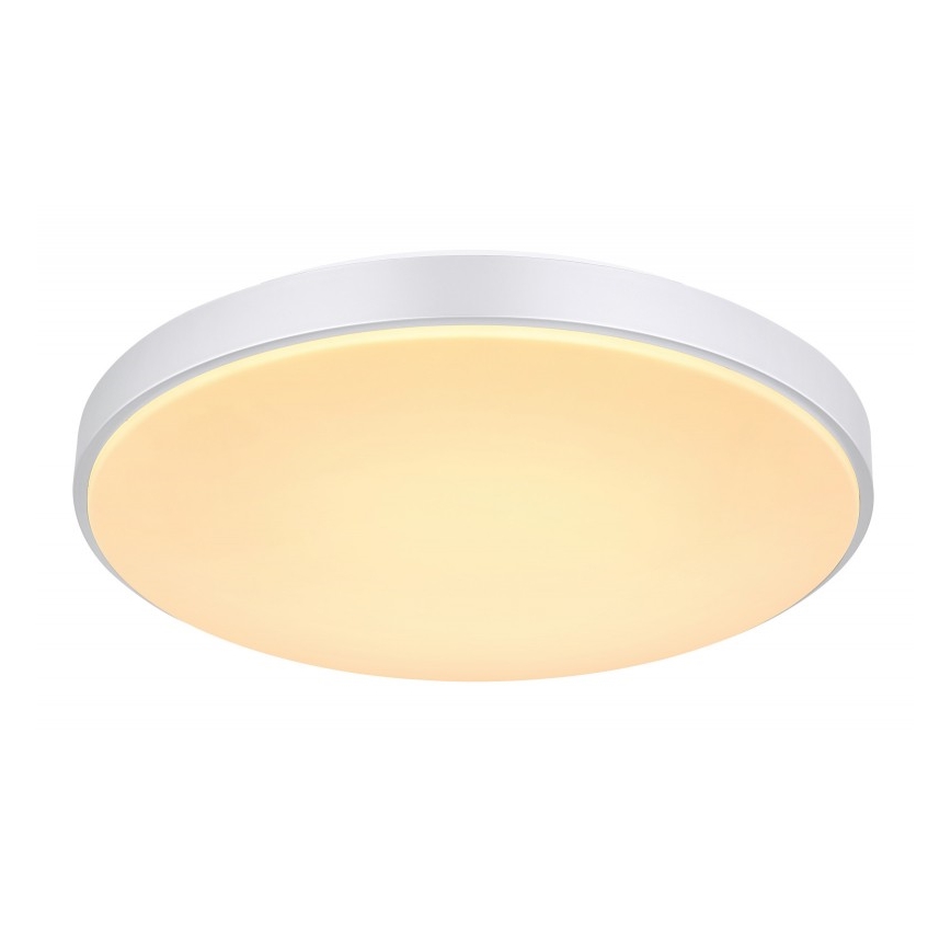 Globo - LED Hämardatav laevalgusti LED/24W/230V + kaugjuhtimispult