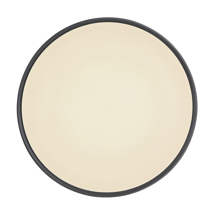 Globo - LED Hämardatav laevalgusti LED/24W/230V + kaugjuhtimispult