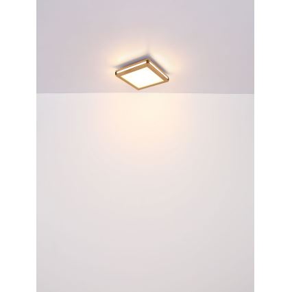 Globo - LED Laevalgusti LED/12W/230V 30x30 cm