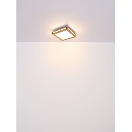 Globo - LED Laevalgusti LED/12W/230V 30x30 cm