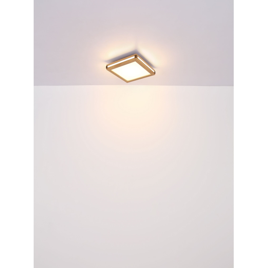 Globo - LED Laevalgusti LED/12W/230V 30x30 cm