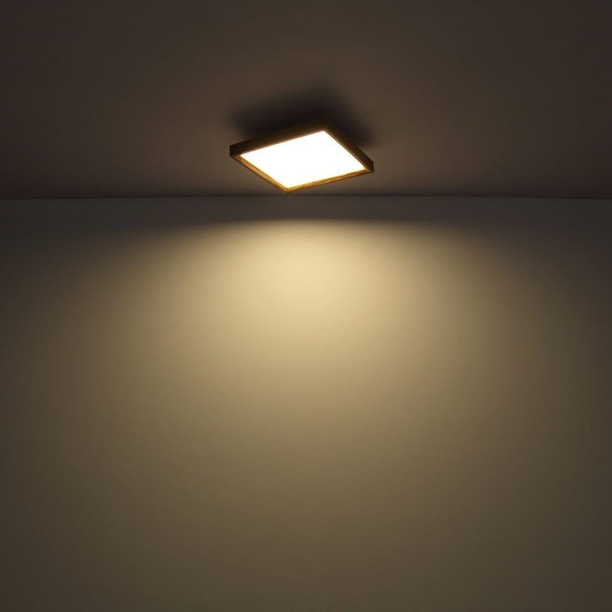 Globo - LED Laevalgusti LED/24W/230V 45cm 2700/4500/6500K