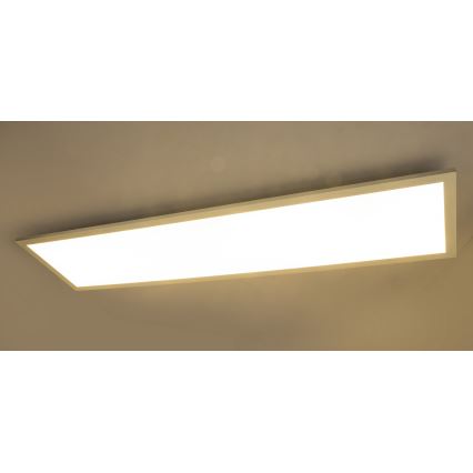 Globo 41604D5 - LED Pinnale paigaldatav paneel ROSI LED/40W/230V