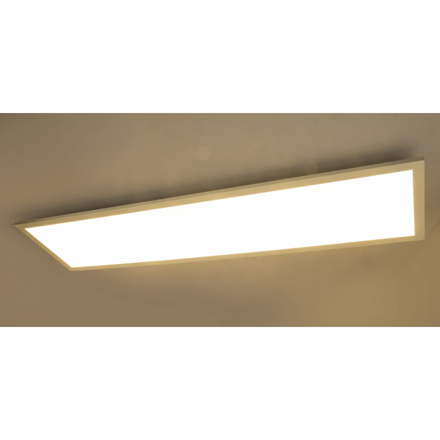 Globo 41604D5 - LED Pinnale paigaldatav paneel ROSI LED/40W/230V