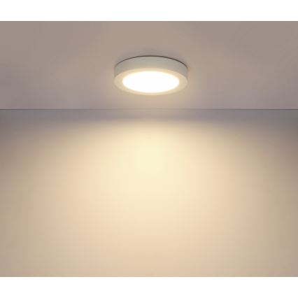 Globo - LED vannitoa laelamp LED/18W/230V IP44