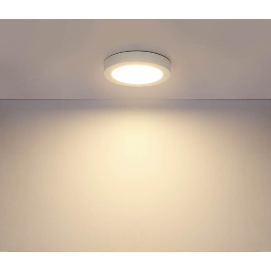 Globo - LED vannitoa laelamp LED/18W/230V IP44