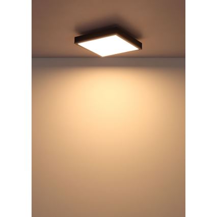Globo - LED Laevalgusti LED/12W/230V 3000K 30x30 cm