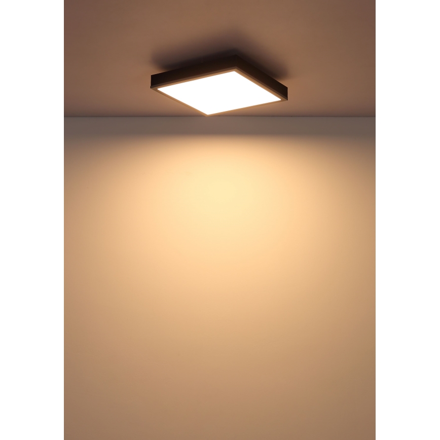 Globo - LED Laevalgusti LED/12W/230V 3000K 30x30 cm