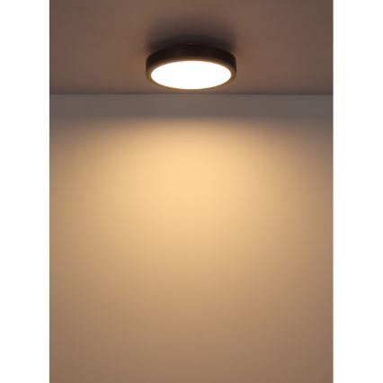 Globo - LED Laevalgusti LED/12W/230V 3000K d. 30 cm