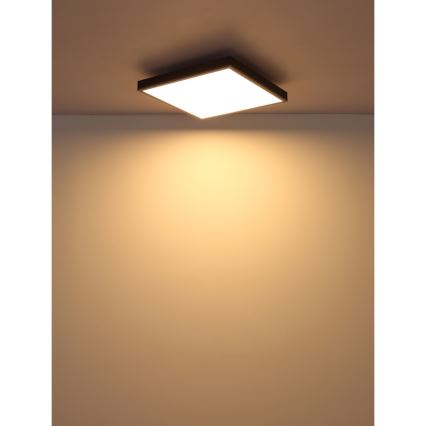 Globo - LED Laevalgusti LED/24W/230V 3000K 45x45 cm