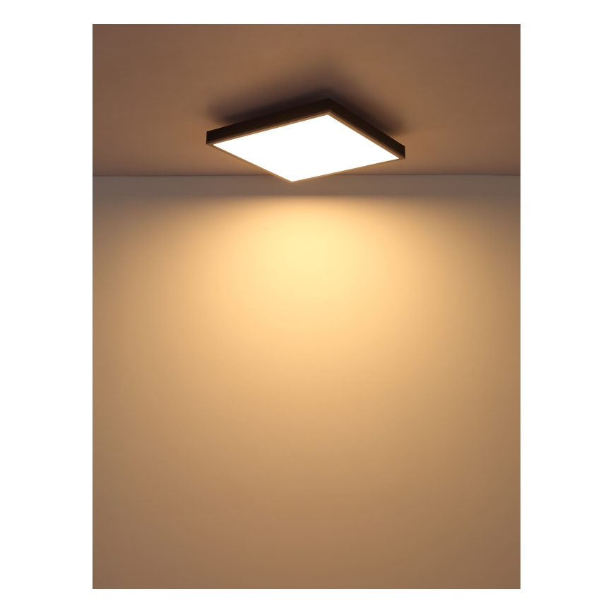 Globo - LED Laevalgusti LED/24W/230V 3000K 45x45 cm