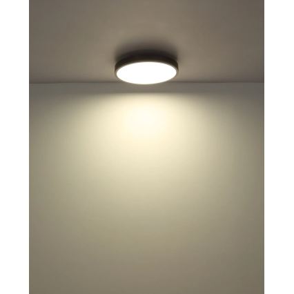 Globo - hämardatav LED-laelamp LED/24W/230V 2700-6500K läbimõõt 45 cm + kaugjuhtimispult