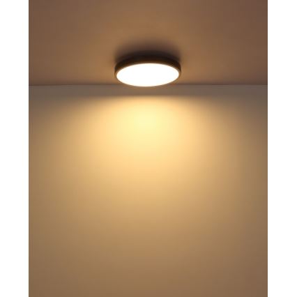 Globo - LED Laevalgusti LED/24W/230V 3000K d. 45 cm