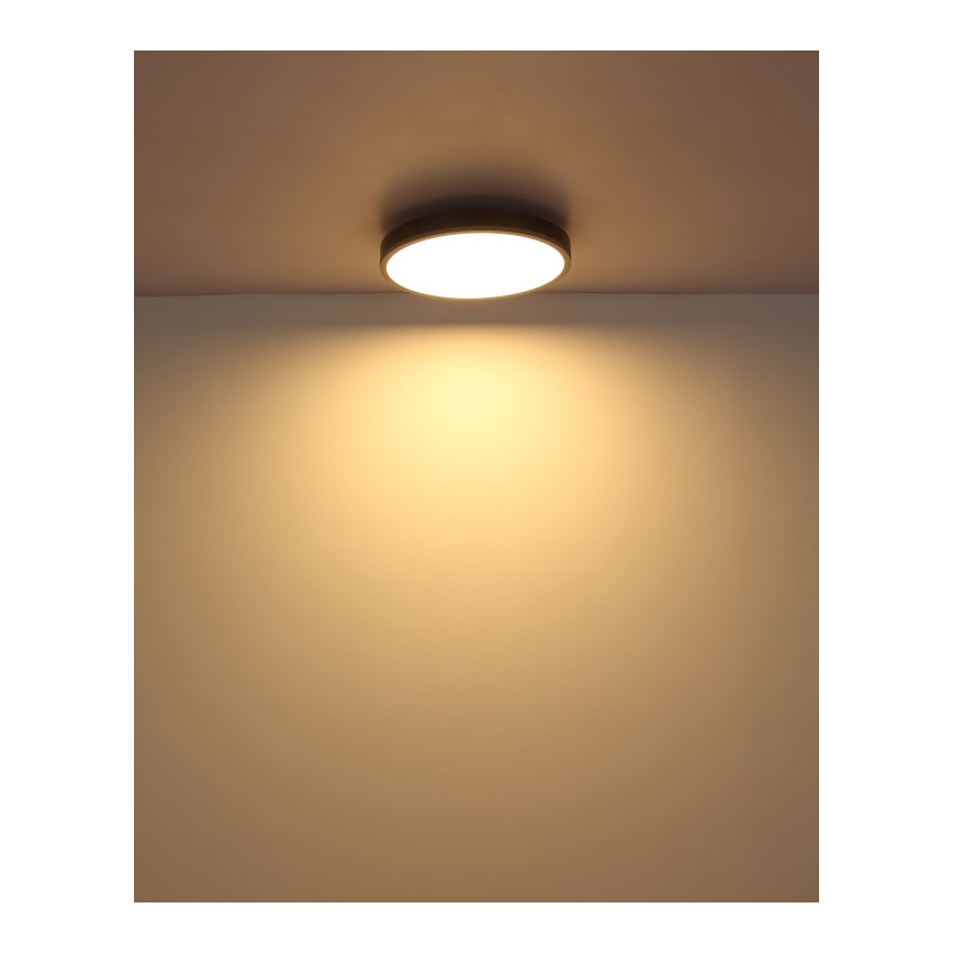 Globo - LED Laevalgusti LED/24W/230V 3000K d. 45 cm